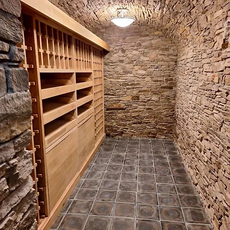 Vila Zlaty Slavik Villa *